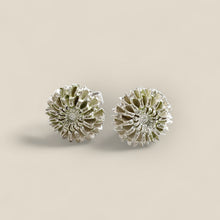Load image into Gallery viewer, Samara Silver Stud Earrings